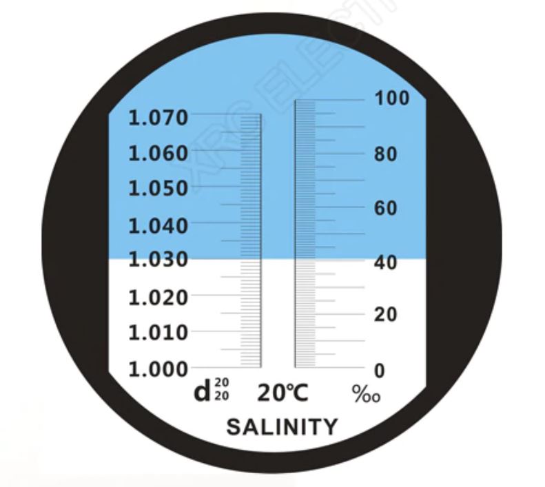 измерение солености рефрактометр 